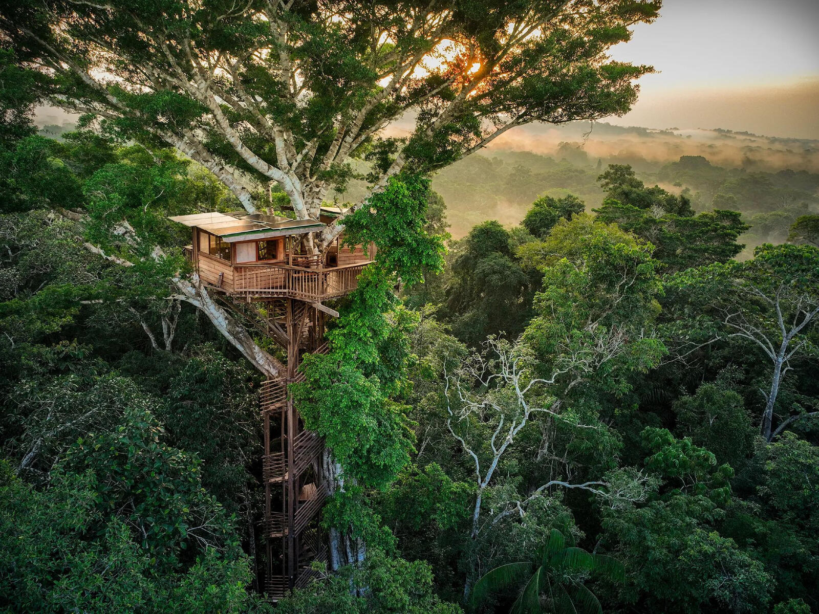 A picture of a treehouse from the Amazon. This was featured in an article of the New Yorker. https://www.newyorker.com/science/elements/the-highest-tree-house-in-the-amazon